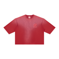 Surf Div Box T